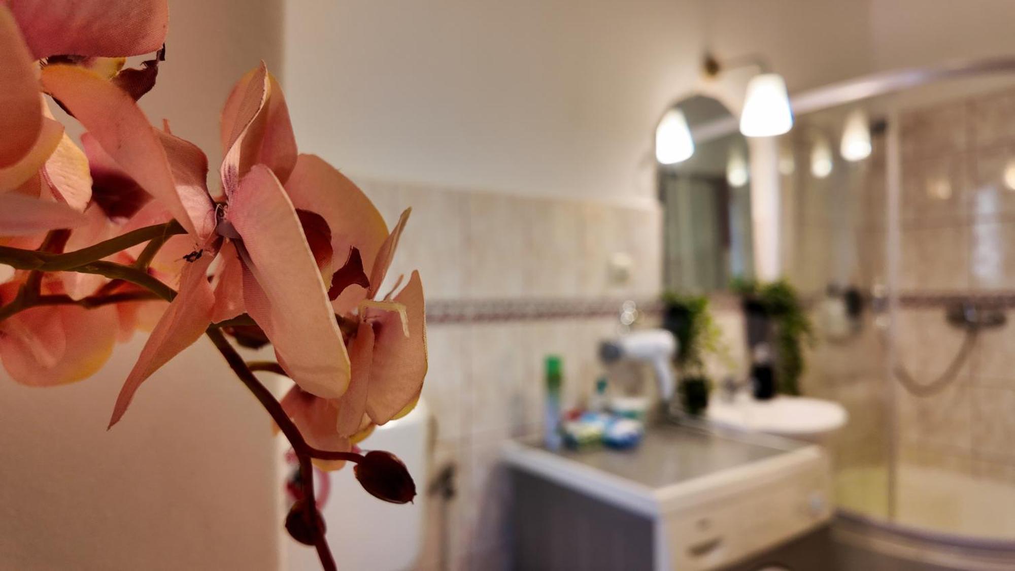 Intimo Oldtown Romantic Apartment Brašov Exteriér fotografie